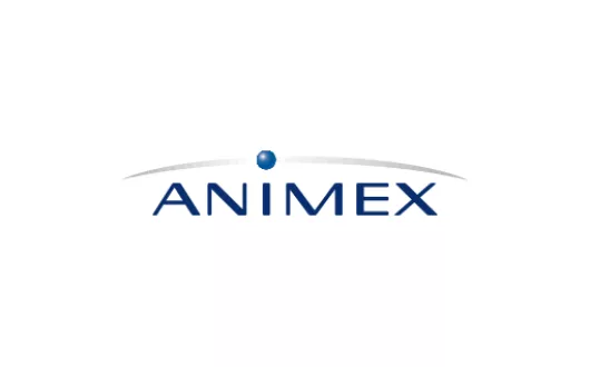logo animex