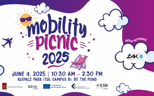 plakat mobility picnic