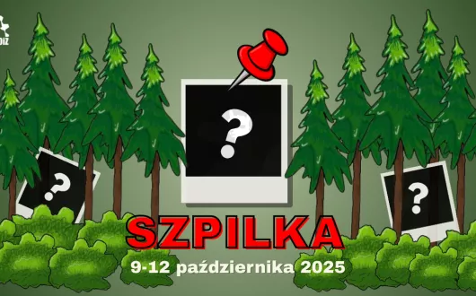 grafika wyjazd integracyjny szpilka
