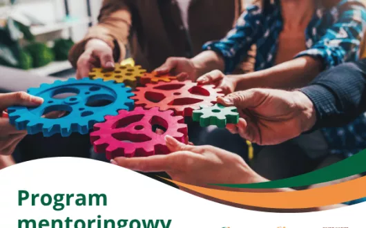 plakat program mentoringowy