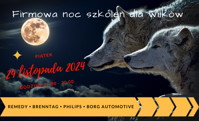 Plakat Firmowa noc szkoleń dla wilków