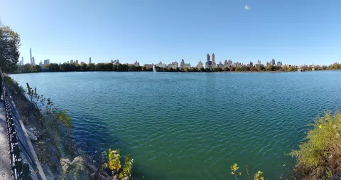 Central Park 1