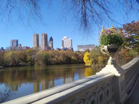 Central Park 3