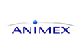 logo animex