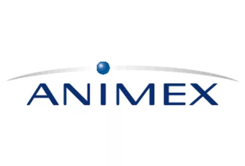 logo animex nowe